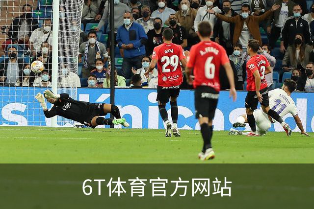 6T体育官方网站公司介绍